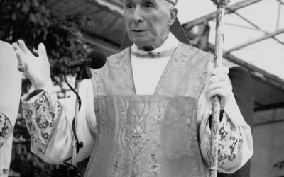 Les enseignements de MGR LEFEBVRE sur Telegram