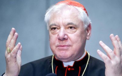 Le Cardinal Müller et l’immigration de masse et le mondialisme : Réflexions