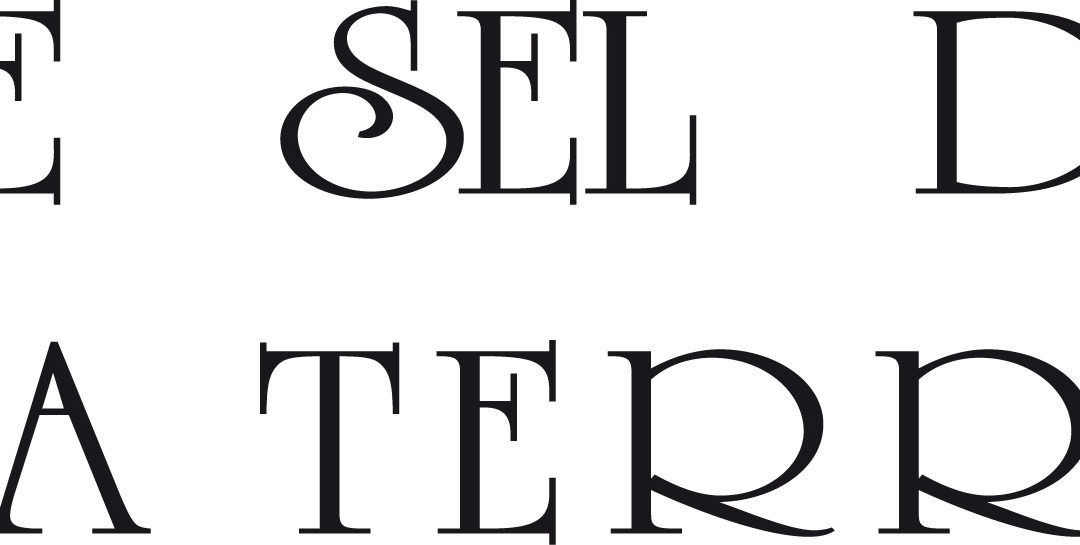 Le Sel de la terre